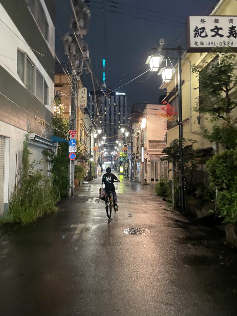 Tokyo Highlights: Asakusa, Shibuya, Akihabara & Beyond
