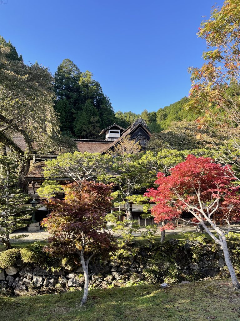 Koyasan Temple Stay: How to Get There & What to Expect