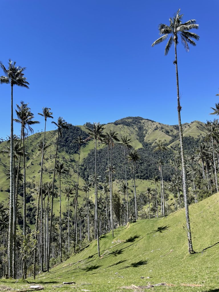 2 weeks in Colombia: Itinerary from the Andes to the Caribbean