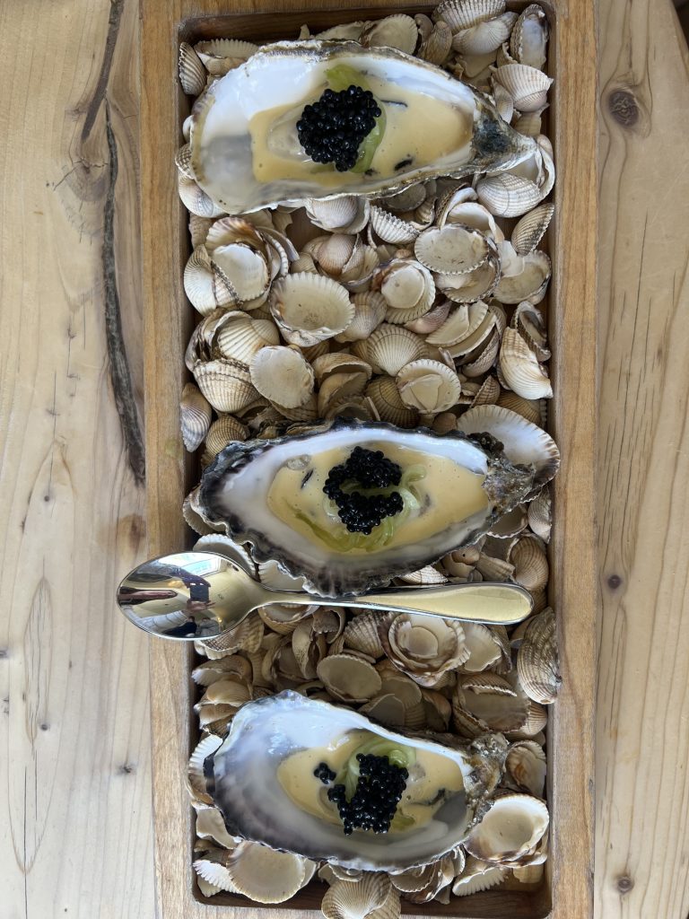 A Taste of Place: Memorable Oyster Experiences Around the World